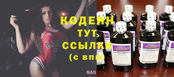 прущие крисы Абаза