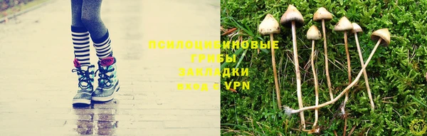 герыч Алексеевка